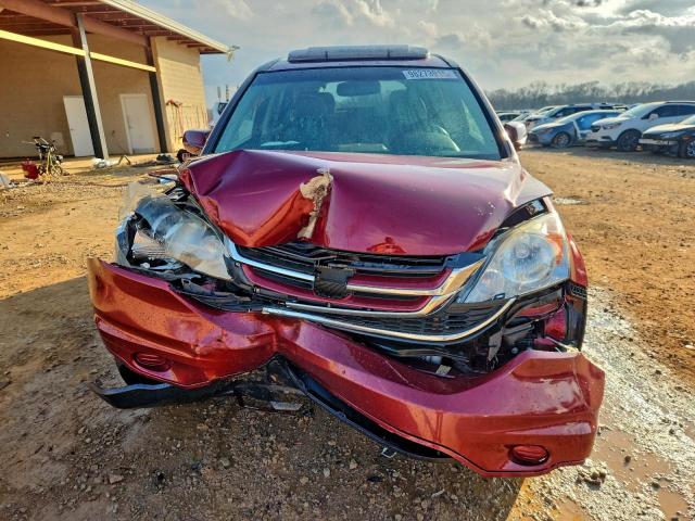 Honda Crv Exl Image 12