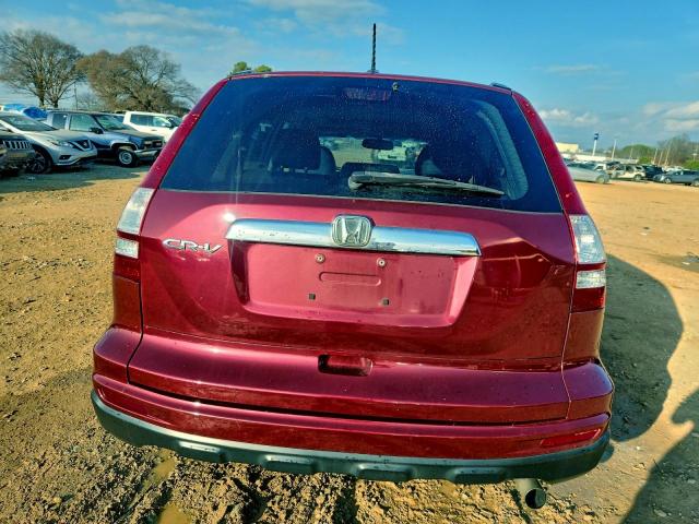 Honda Crv Exl Image 3