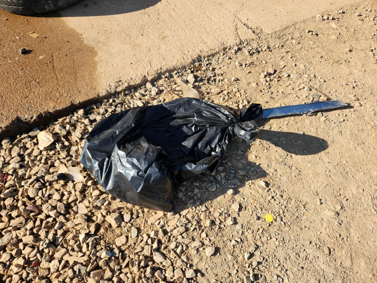 Ford Flex Limited Image 12