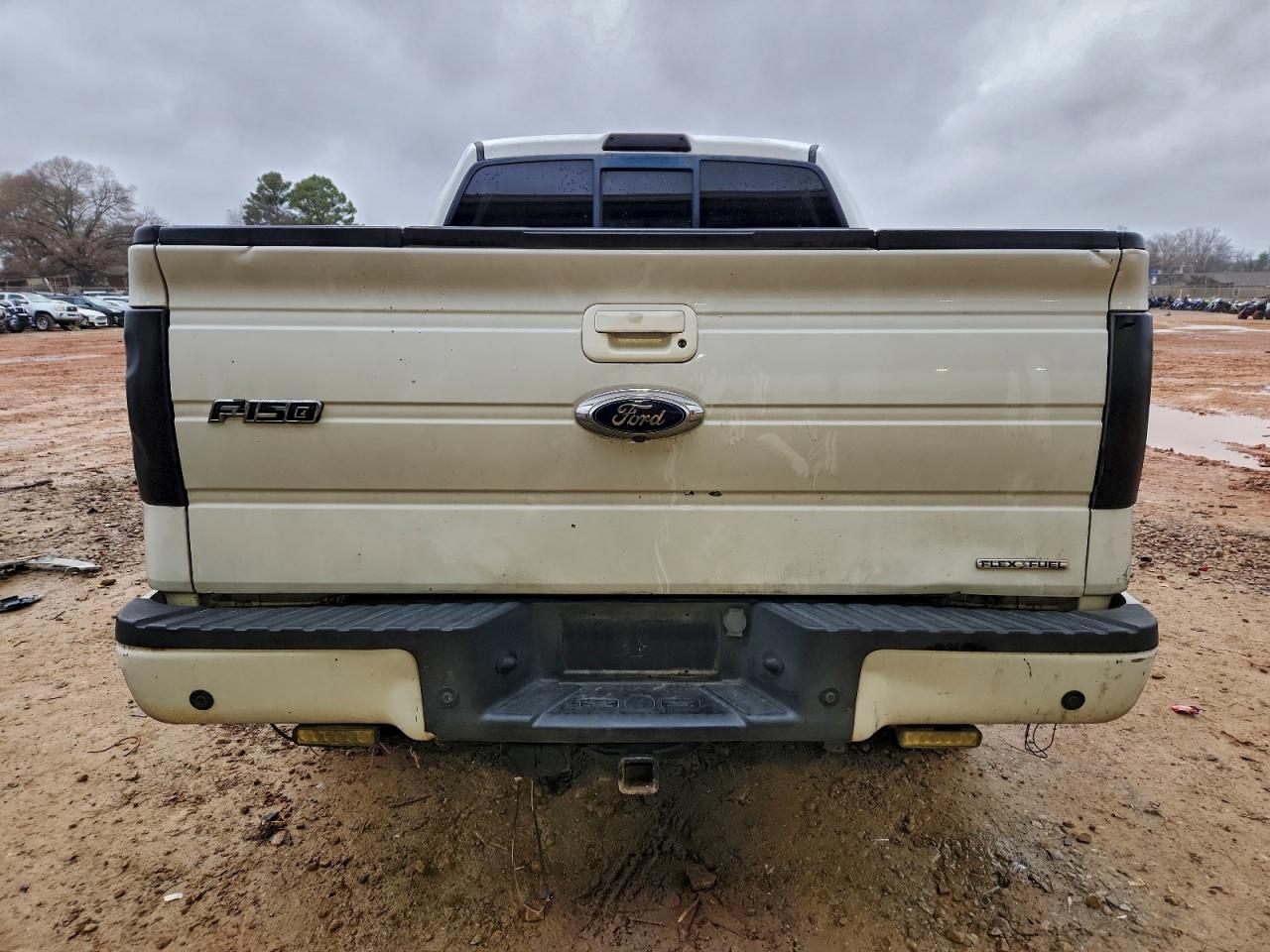 Ford F-150 Supercrew Image 6