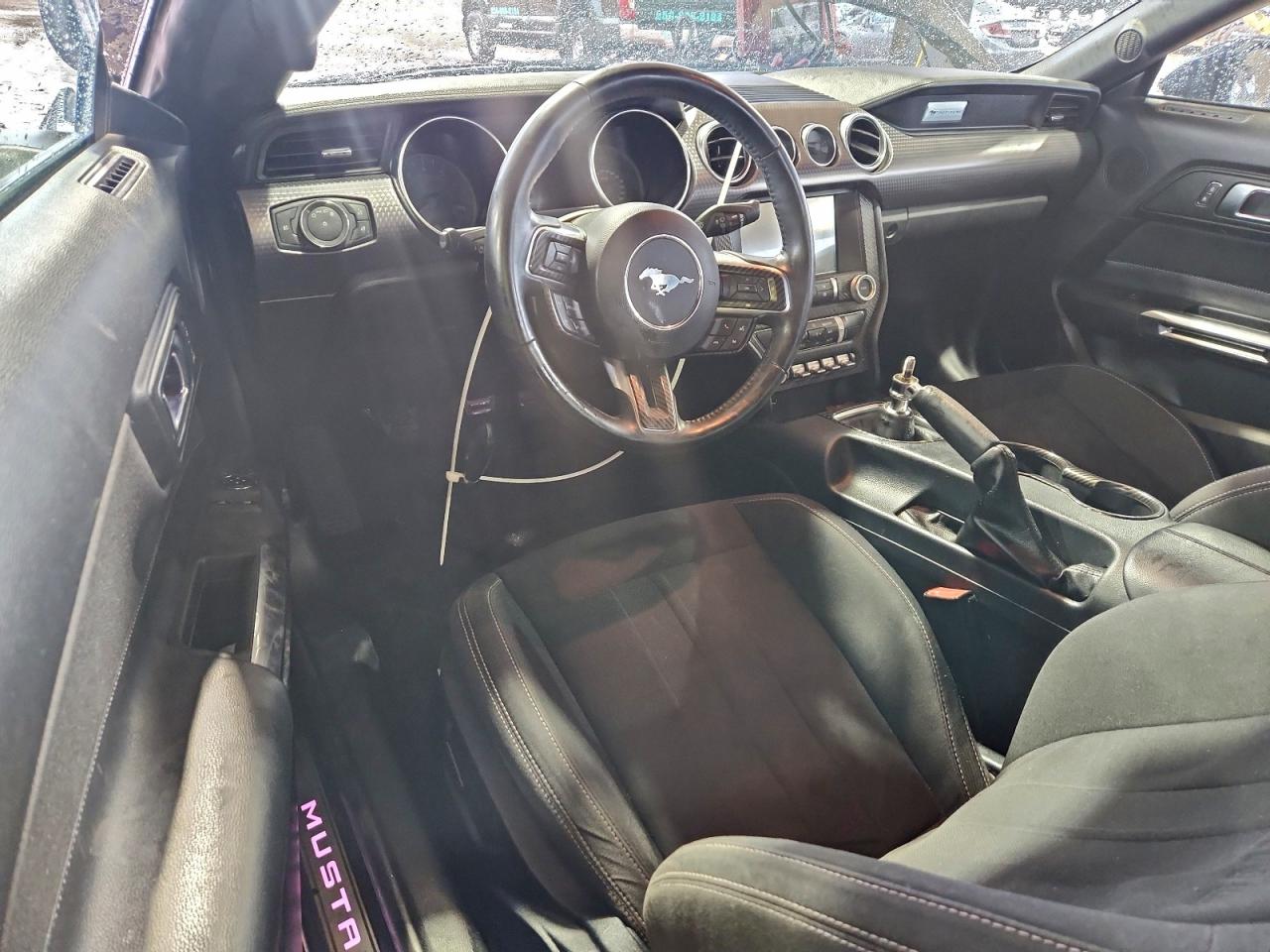 Ford Mustang Gt Image 3