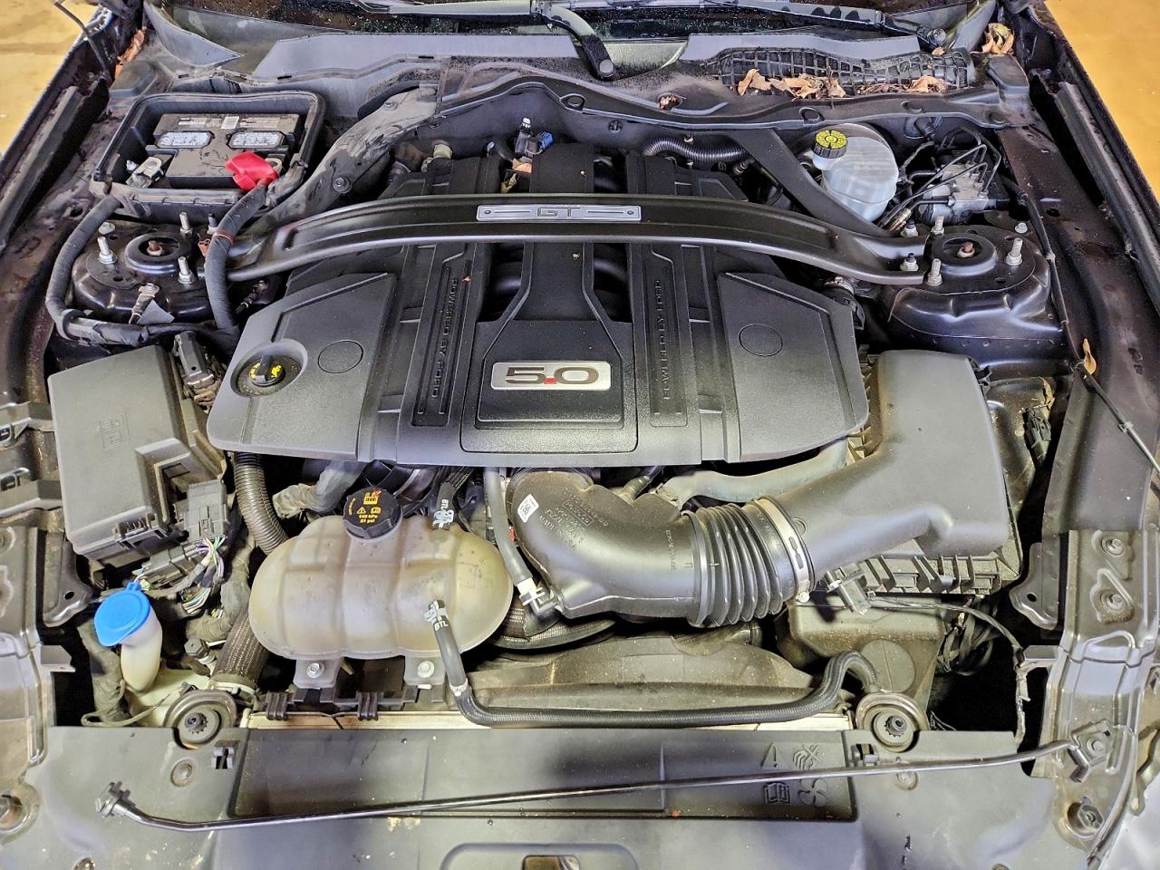 Ford Mustang Gt Image 11