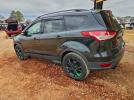 Ford Escape Sel Image 12