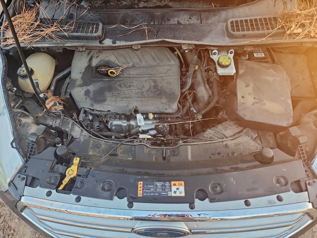 Ford Escape Se Image 13