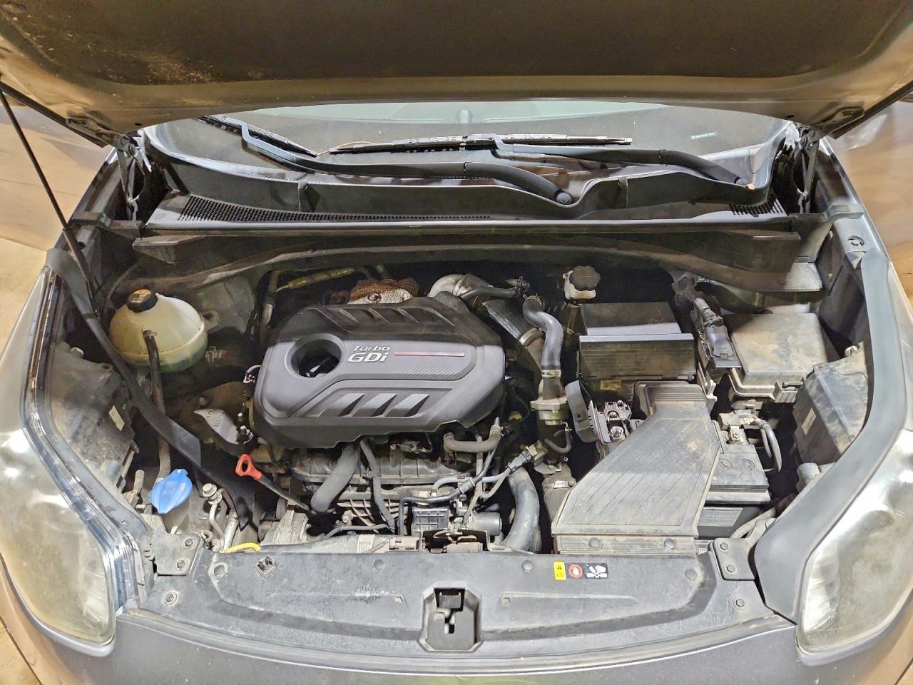 Kia Sportage Sx Image 5