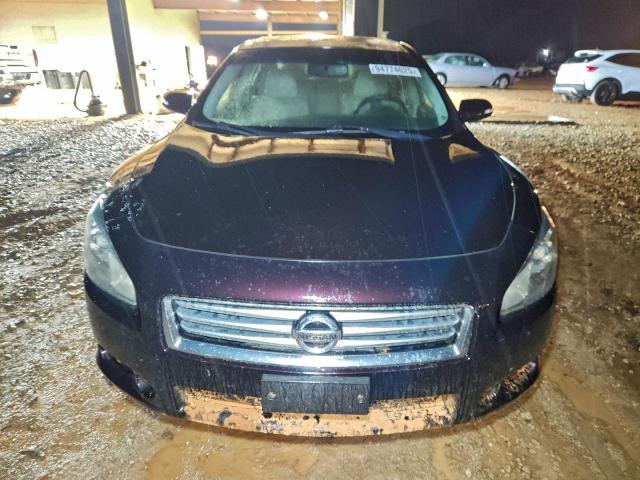 Nissan Maxima S Image 3