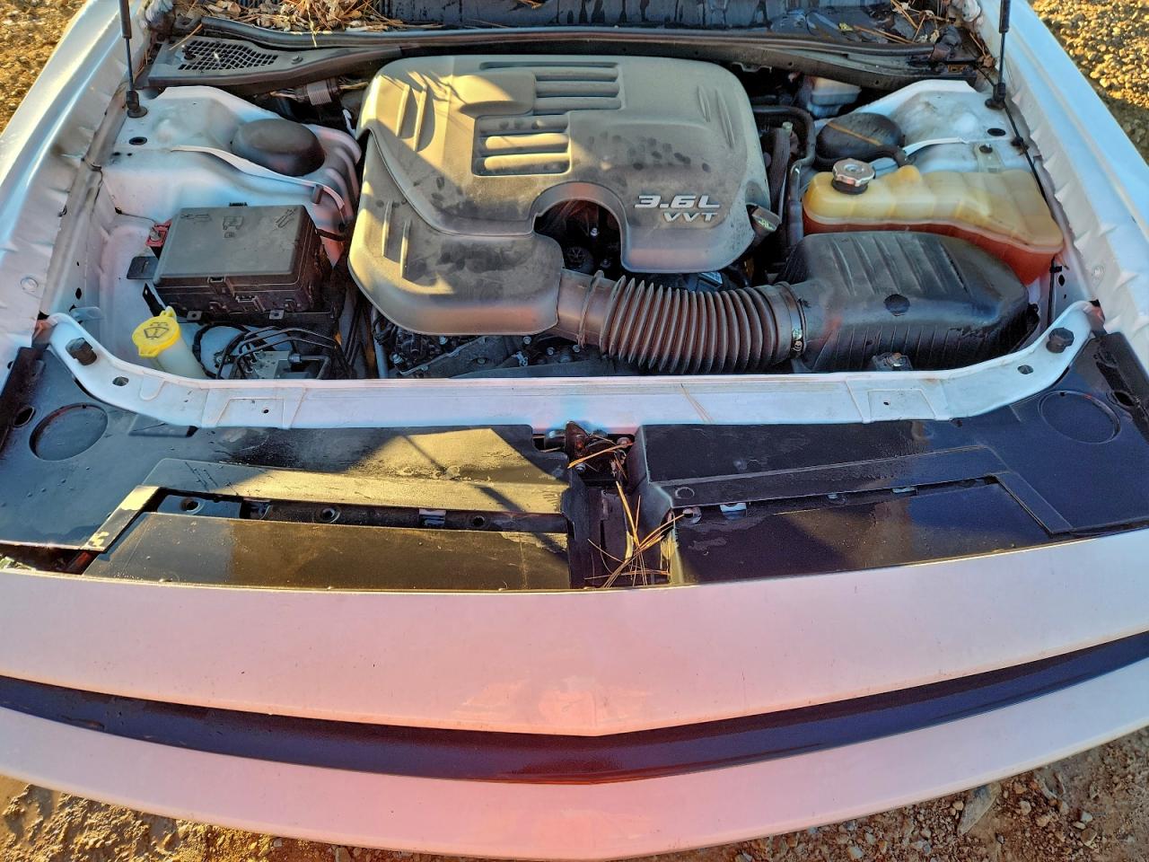 Dodge Challenger Sxt Plus Image 10