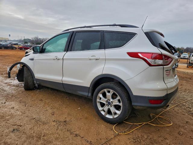 Ford Escape Sel Image 2