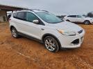 Ford Escape Sel Image 3