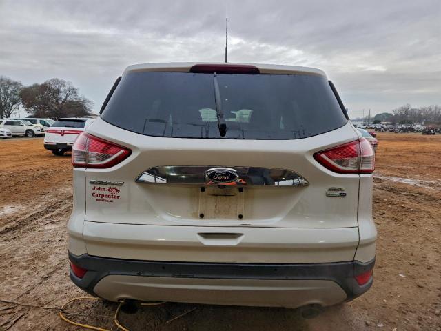 Ford Escape Sel Image 8