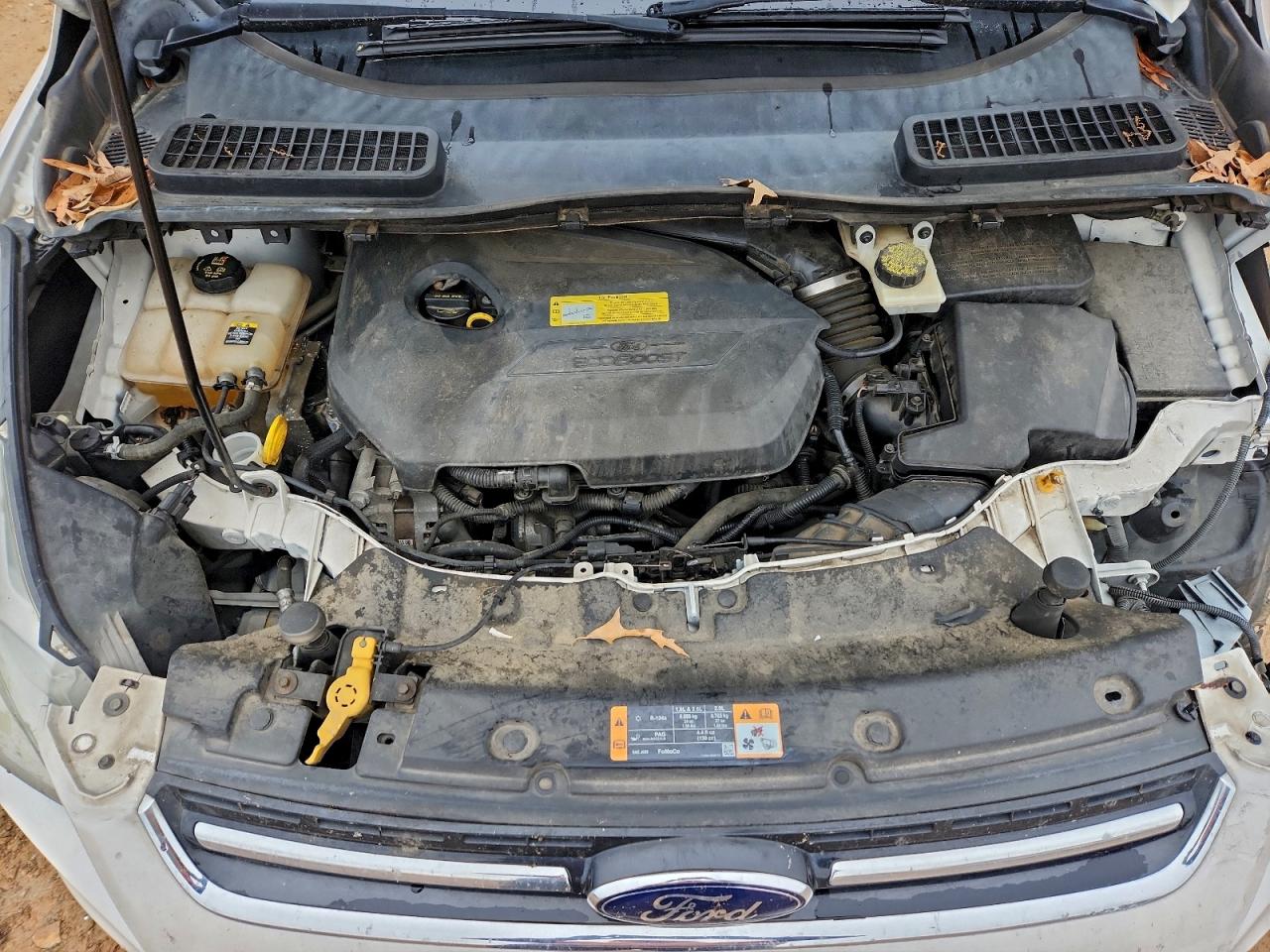 Ford Escape Sel Image 13