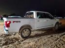 Ford F-150 Supercrew Image 8